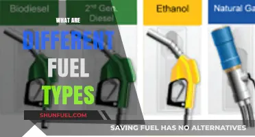 Exploring Diverse Fuel Types: A Comprehensive Guide to Energy Sources