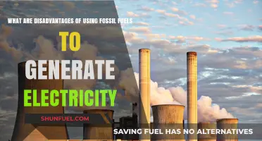 Fossil Fuels: Electricity's Dark Side