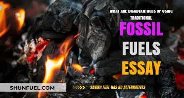 The Dark Side of Fossil Fuels