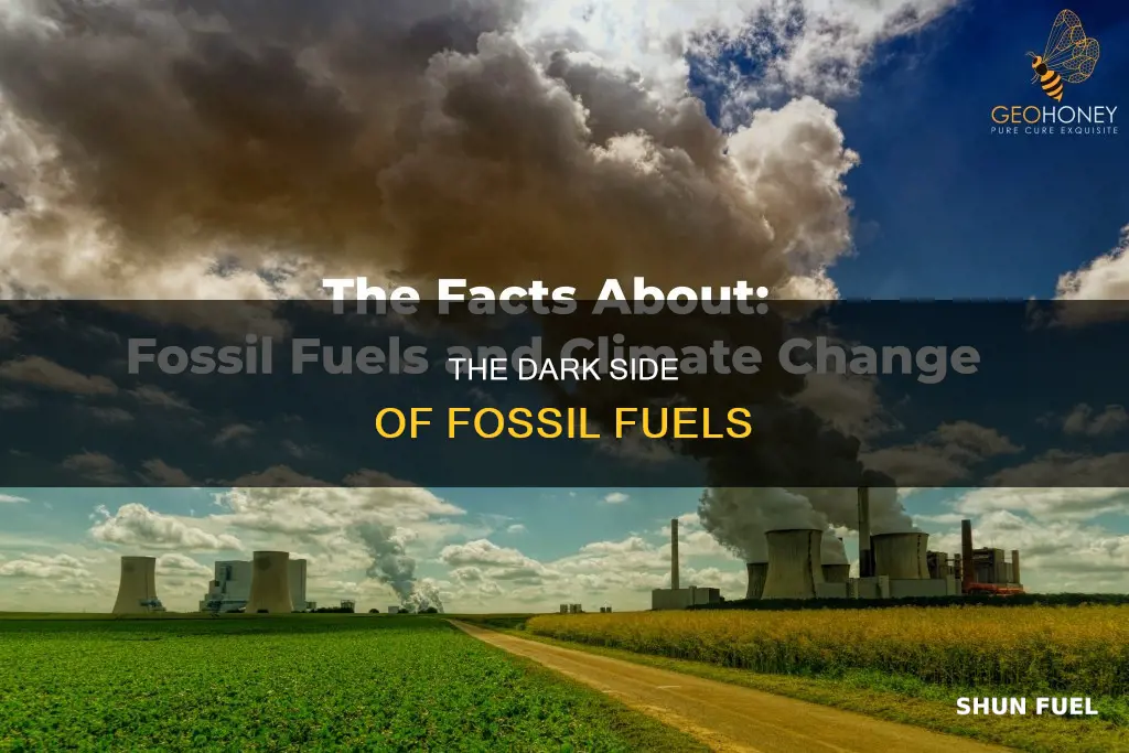 what are disadvantages of using traditional fossil fuels essay