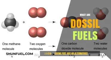 Understanding Dossil Fuels: Types, Uses, and Environmental Impact Explained