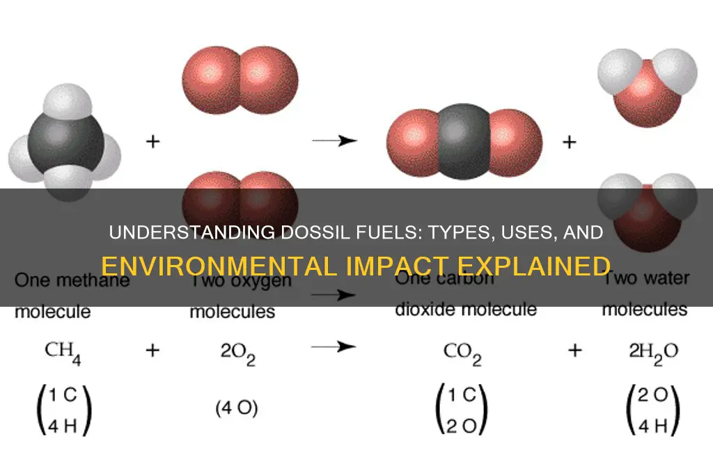 what are dossil fuels