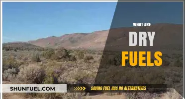 Understanding Dry Fuels: Types, Uses, and Environmental Impact