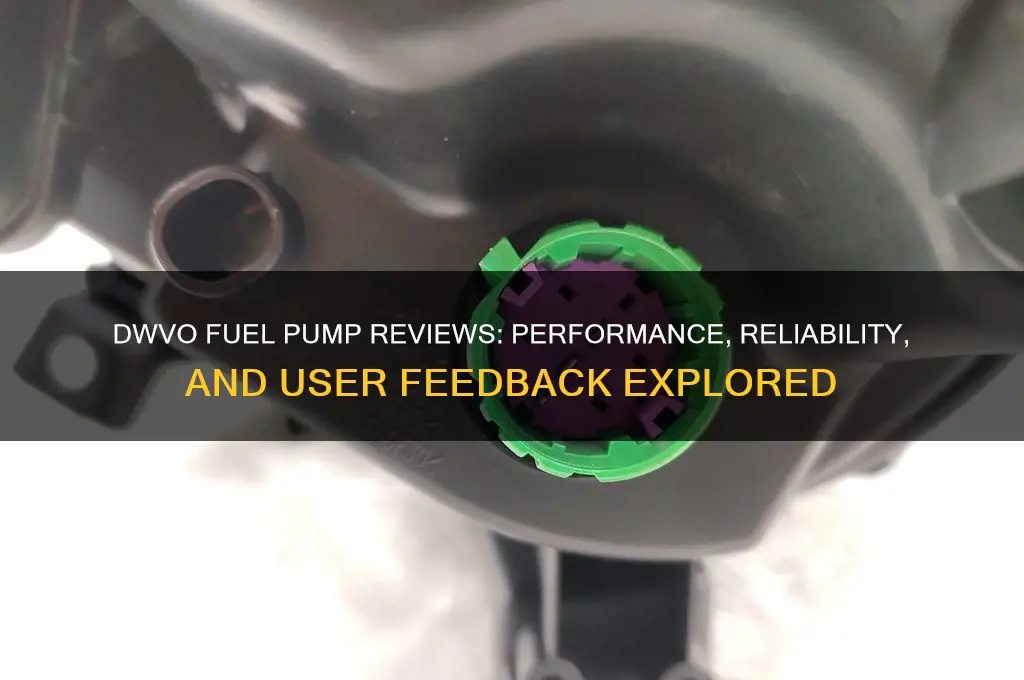 what are dwvo fuel pump reviews