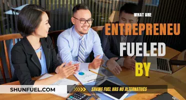 What Drives Entrepreneurs: Passion, Purpose, or Profit?