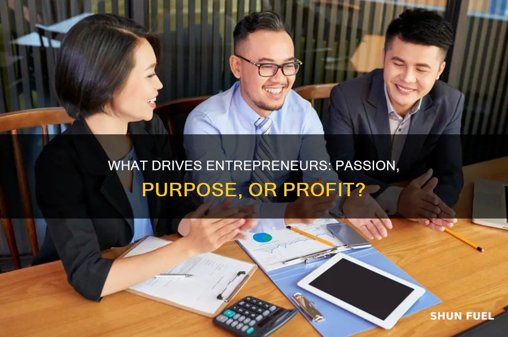 what are entrepreneurs fueled by