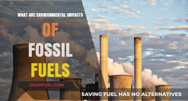 Fossil Fuels: Environmental Impacts and Our Future
