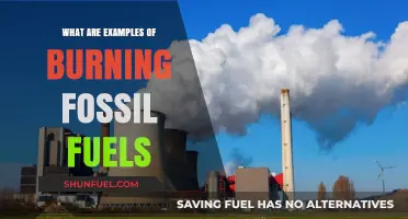 How Fossil Fuels Impact Our Climate
