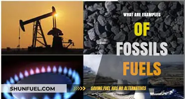 Understanding Fossil Fuels: Examples and Applications