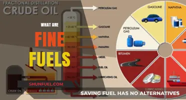 Understanding Fine Fuels: Types, Uses, and Environmental Impact Explained