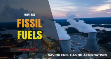 Understanding Fossil Fuels: Origins, Uses, and Environmental Impacts