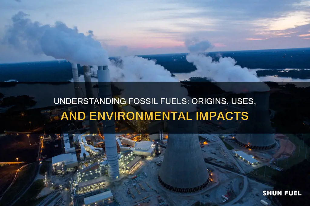 what are fissil fuels