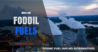 Understanding Fossil Fuels: Origins, Uses, and Environmental Impact Explained