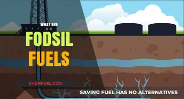Understanding Fossil Fuels: Origins, Uses, and Environmental Impact Explained