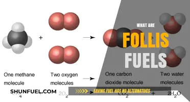 Understanding Fossil Fuels: Types, Uses, and Environmental Impact Explained