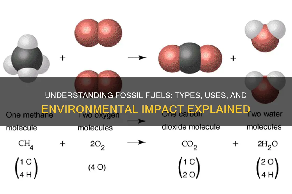what are follis fuels