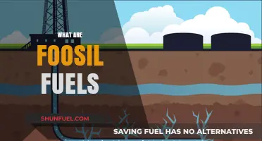 Understanding Fossil Fuels: Origins, Uses, and Environmental Impact Explained