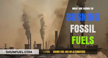 Burning Fossil Fuels: Exploring Various Harmful Methods