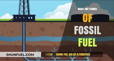 Fossil Fuel Forms: Exploring Energy Sources