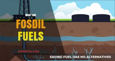 Understanding Fossil Fuels: Origins, Uses, and Environmental Impact Explained