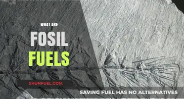 Understanding Fossil Fuels: Origins, Uses, and Environmental Impact Explained