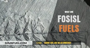 Understanding Fossil Fuels: Origins, Uses, and Environmental Impact Explained