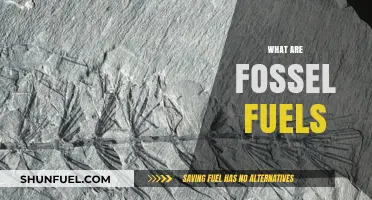 Understanding Fossil Fuels: Origins, Uses, and Environmental Impact Explained