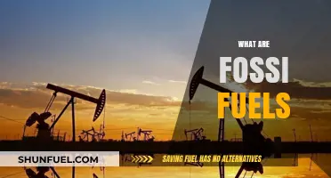 Understanding Fossil Fuels: Origins, Uses, and Environmental Impacts Explained