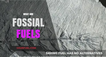 Understanding Fossil Fuels: Origins, Uses, and Environmental Impact Explained