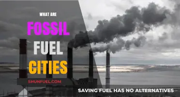 How Fossil Fuel Cities Work