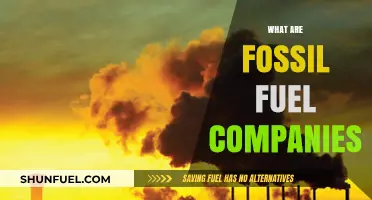 Fossil Fuel Companies: Powering Our World or Destroying It?
