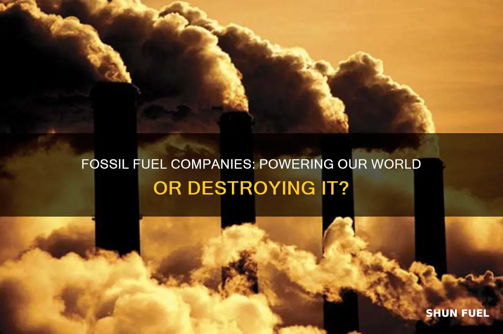 what are fossil fuel companies