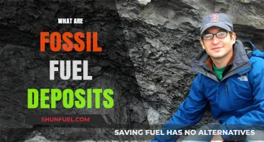 How Fossil Fuel Deposits Form and Where They're Found