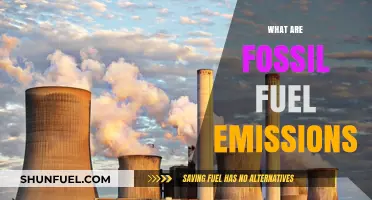 The Dark Side of Fossil Fuel Emissions
