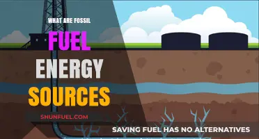 Fossil Fuel Energy Sources: Past, Present, Future