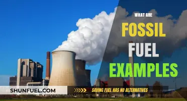 Fossil Fuel Examples: Understanding Our Energy Sources