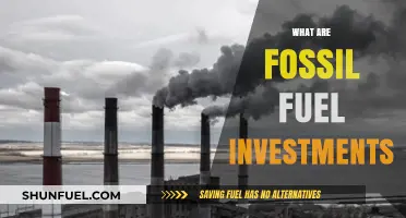 Fossil Fuel Investments: A Risky Bet?