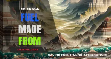 The Origin of Fossil Fuels: Ancient Organisms