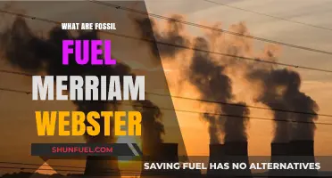 Fossil Fuels: Unlocking the Past for Energy
