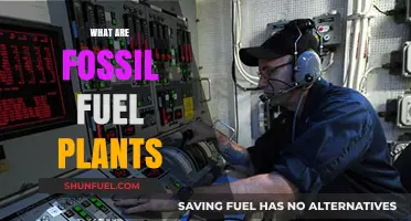 How Fossil Fuel Power Plants Work?