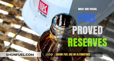 Understanding Proved Fossil Fuel Reserves: What's the Truth?