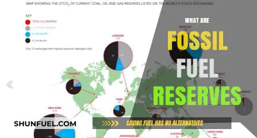 Understanding Earth's Fossil Fuel Reserves