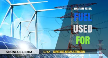 Fossil Fuels: Powering Our World, But For How Long?