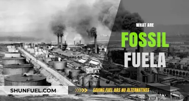 Fossil Fuels: A Historical Energy Source