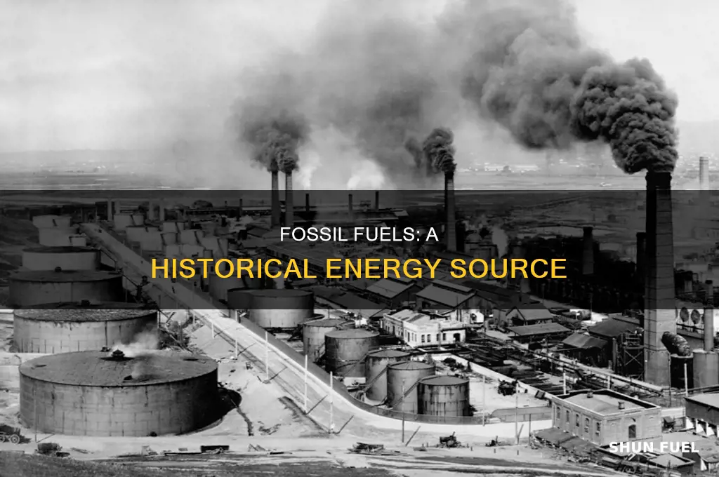 what are fossil fuela