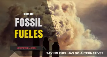 Fossil Fuels: Energy Sources of the Past