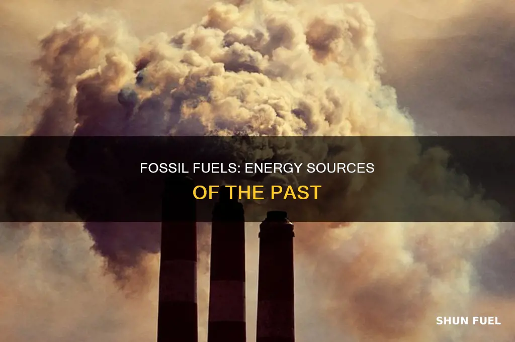 what are fossil fueles
