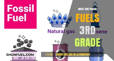 How Fossil Fuels Power Our World