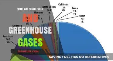 Fossil Fuels and Their Greenhouse Gas Emissions