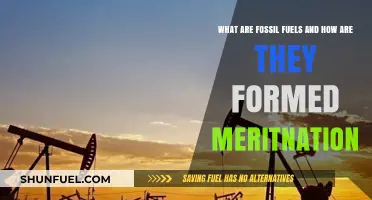 Fossil Fuels: Ancient Sunlight, Our Energy Source